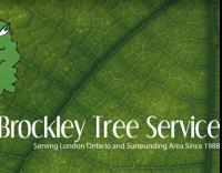 Brockley Tree Service image 1